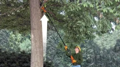 BD PILARKA DO GAŁĘZI AKU.18V/2,0Ah LI