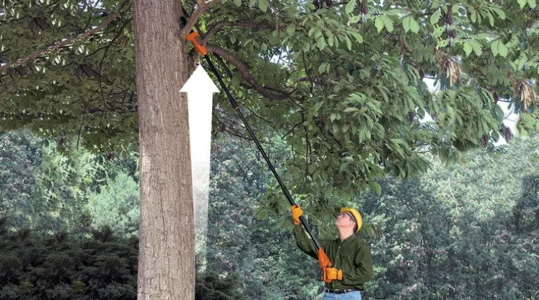BD PILARKA DO GAŁĘZI AKU.18V/2,0Ah LI