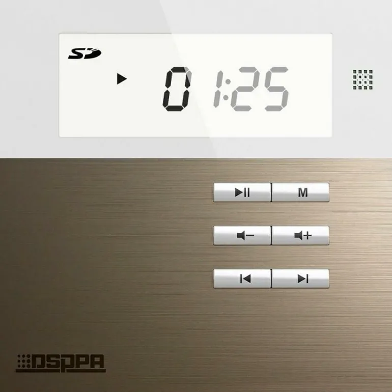 DSPPA Zestaw Nagłośnieniowy M3W