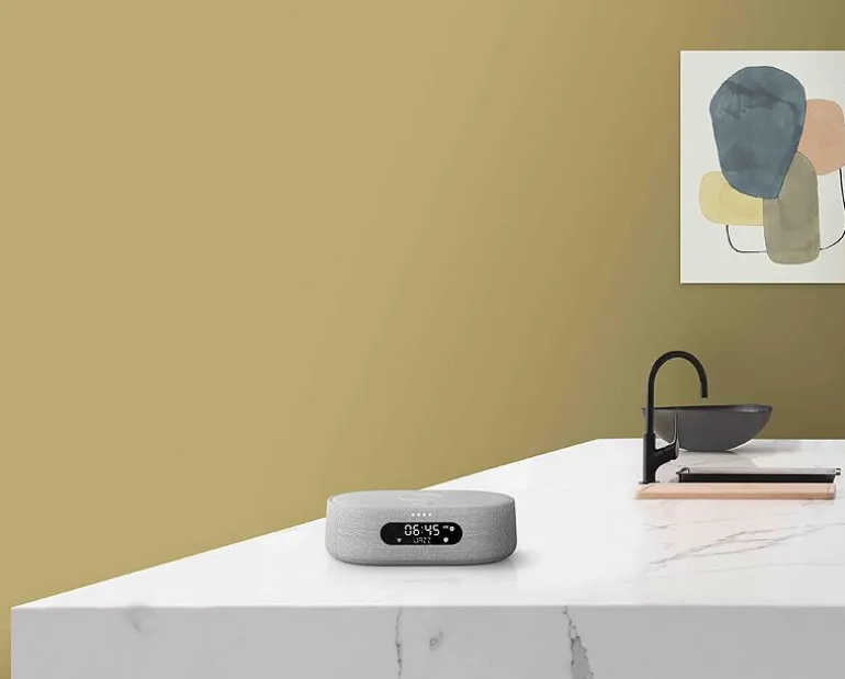 Harman Kardon Citation Oasis FM szary