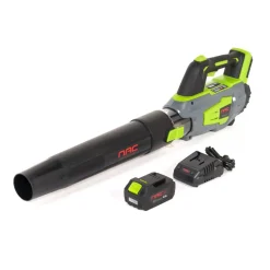 NAC DMUCHAWA AKUMULATOROWA 20V 1x2Ah