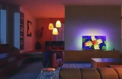 Philips 65PML9008/12