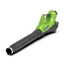 40V Dmuchawa Basic Greenworks G40AB