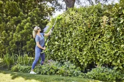 24V Nożyce do żywopłotu na wysięgniku G24PH51