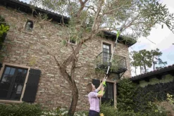 40V Pilarka 20 cm wysięgnik Greenworks G40PSF