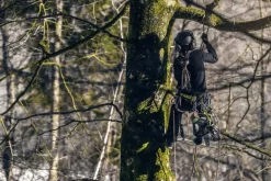 40V Pilarka z górnym uchwytem 25 cm GD40TCS